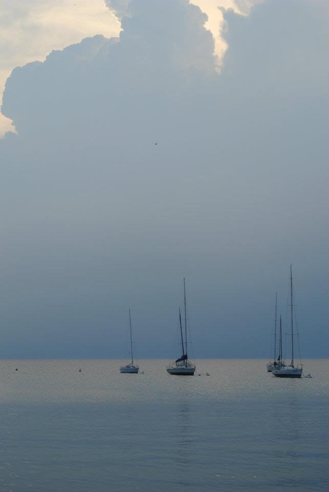 bardolino