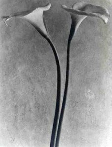 Tina Modotti