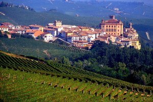 barolo