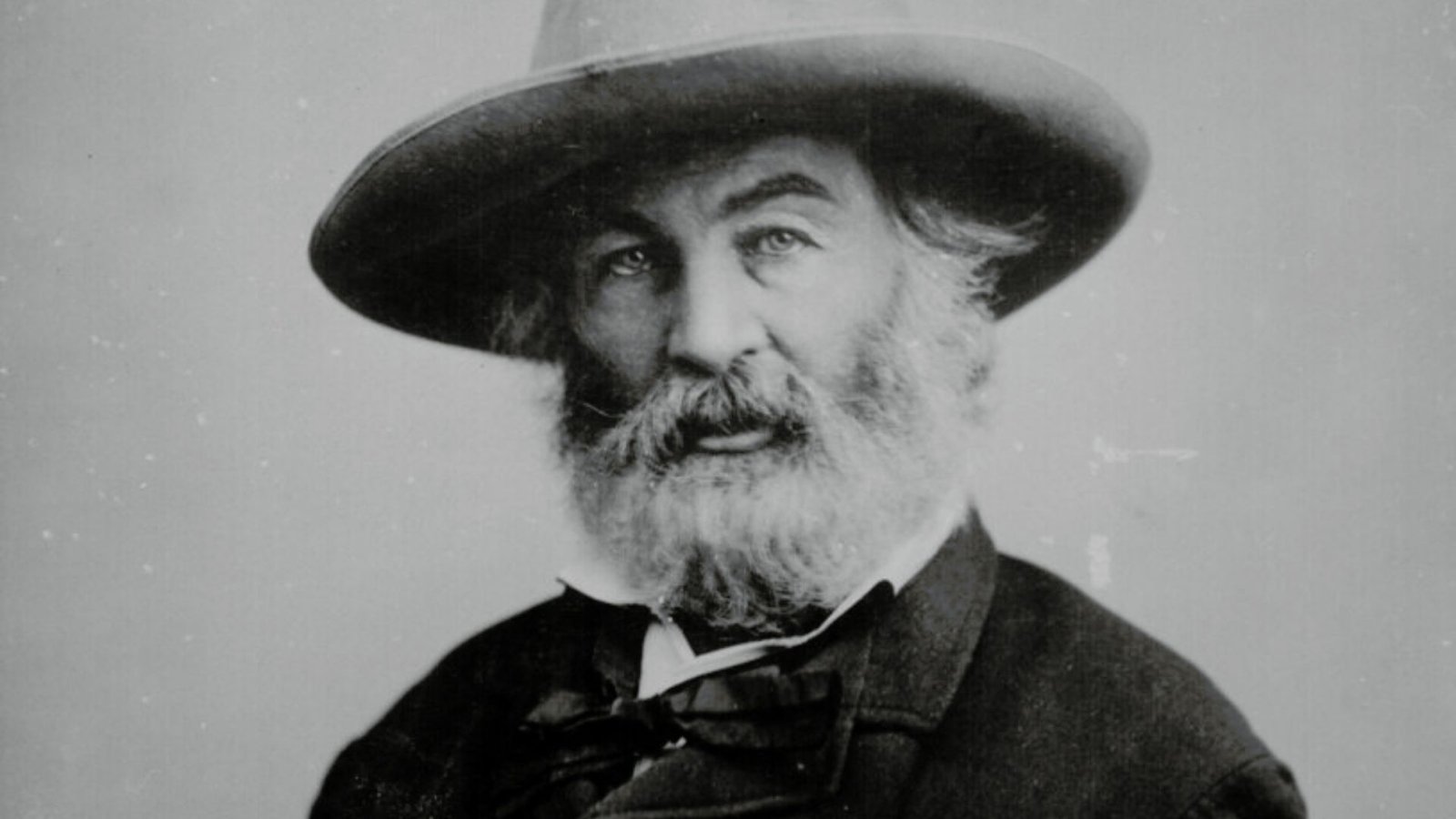 walt whitman