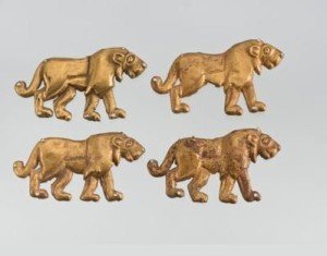 Cagliari hermitage, eurasia