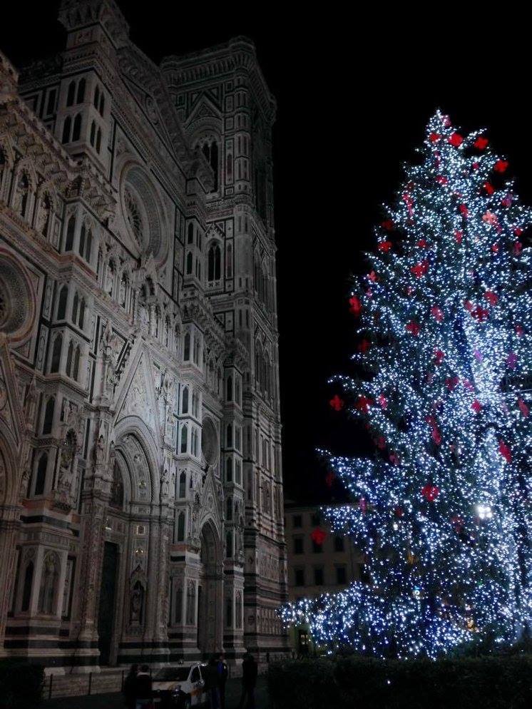 31 firenze