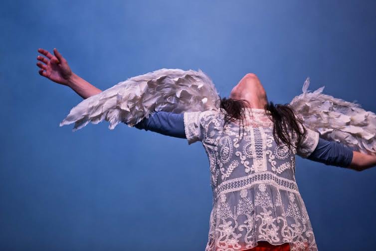 Gabbiano goldoni di Venezia