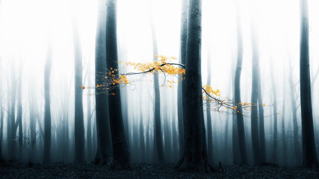 Lars Van De Goor - Sezione Landscape/Nature