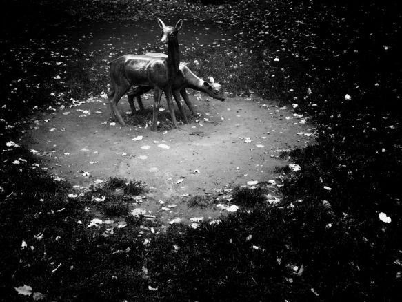 ©Sara Munari Be the bee body be boom (bidibibodibibu): Est East (Portfolio Vol. 5)