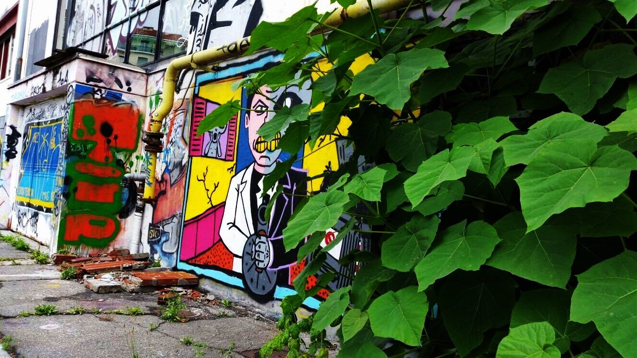 street art Torino