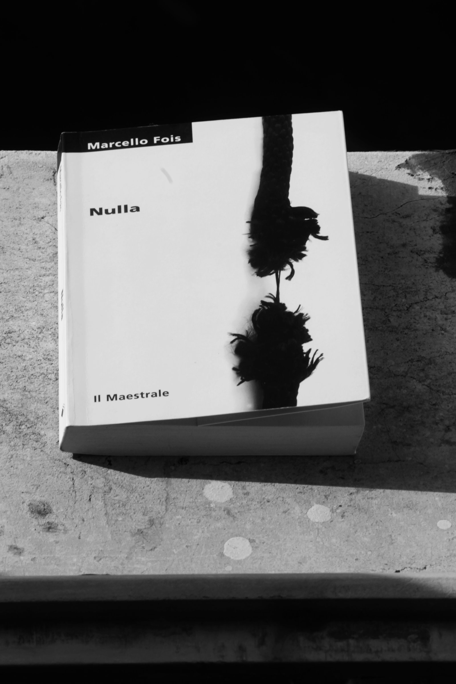 Copertina di "Nulla" di Marcello Fois. Foto di Francesca Leali © il fascino degli intellettuali