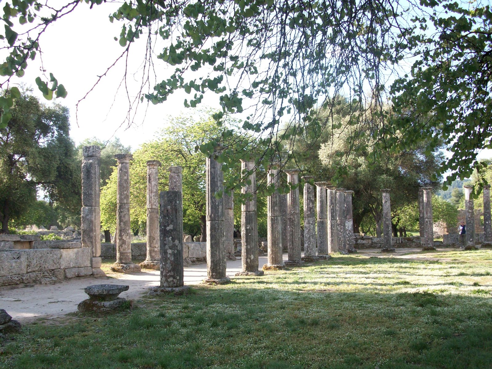 Olimpia_palestra