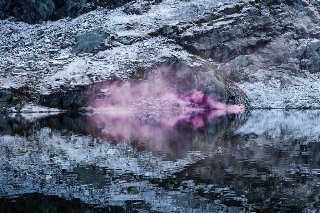 The Blossom Project © Isabelle Chapuis&Alexis Pichot