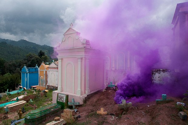 The Blossom Project © Isabelle Chapuis&Alexis Pichot