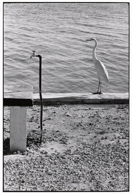 Magnumphotos.com