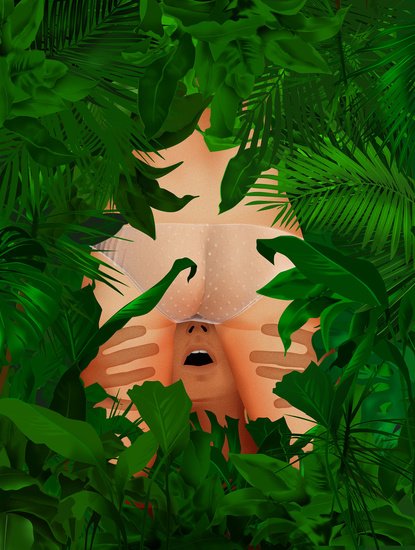 Poster for ADULT MAGAZINE "In The Bushes" ©Kathryn Macnaughton
