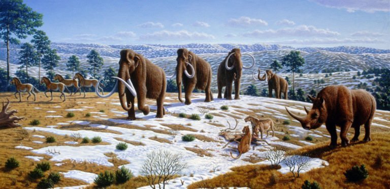 Il Più Grande Uomo Scimmia Del Pleistocene Riassunto "Il più grande uomo scimmia del Pleistocene": una lezione di storia