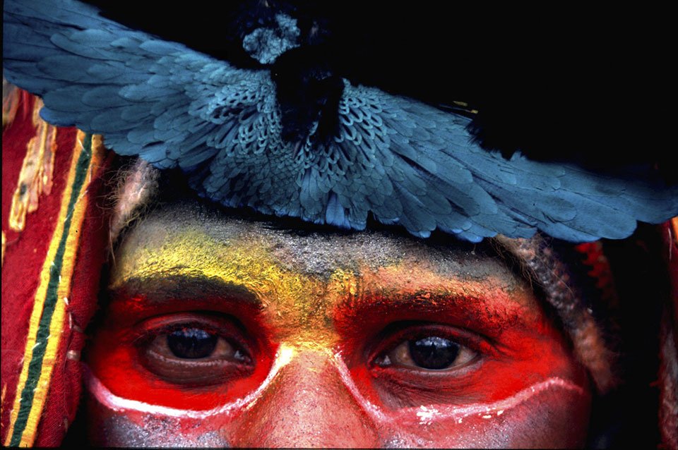 Conservation photography