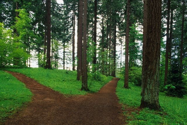Thoreau
