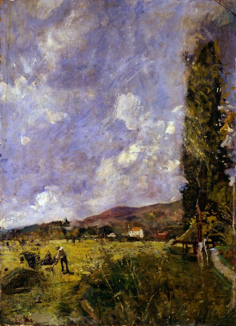 Armonie verdi