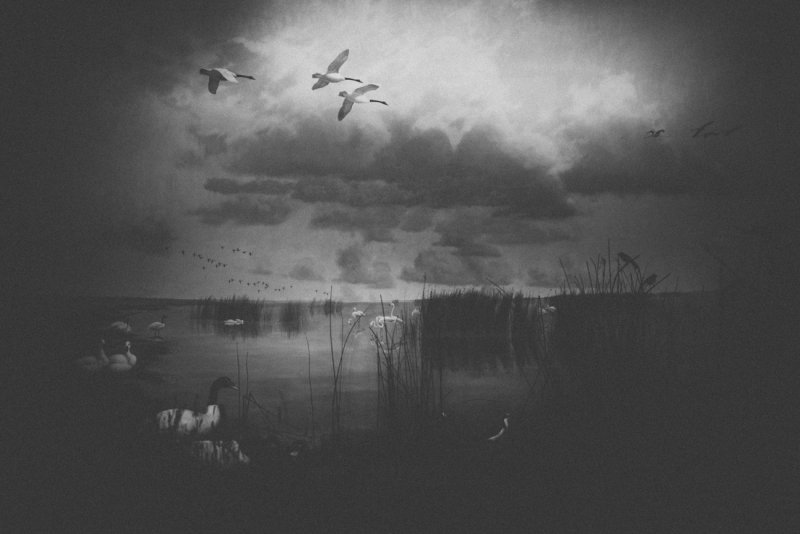 Andrea Buzzichelli