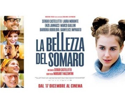 La bellezza del somaro