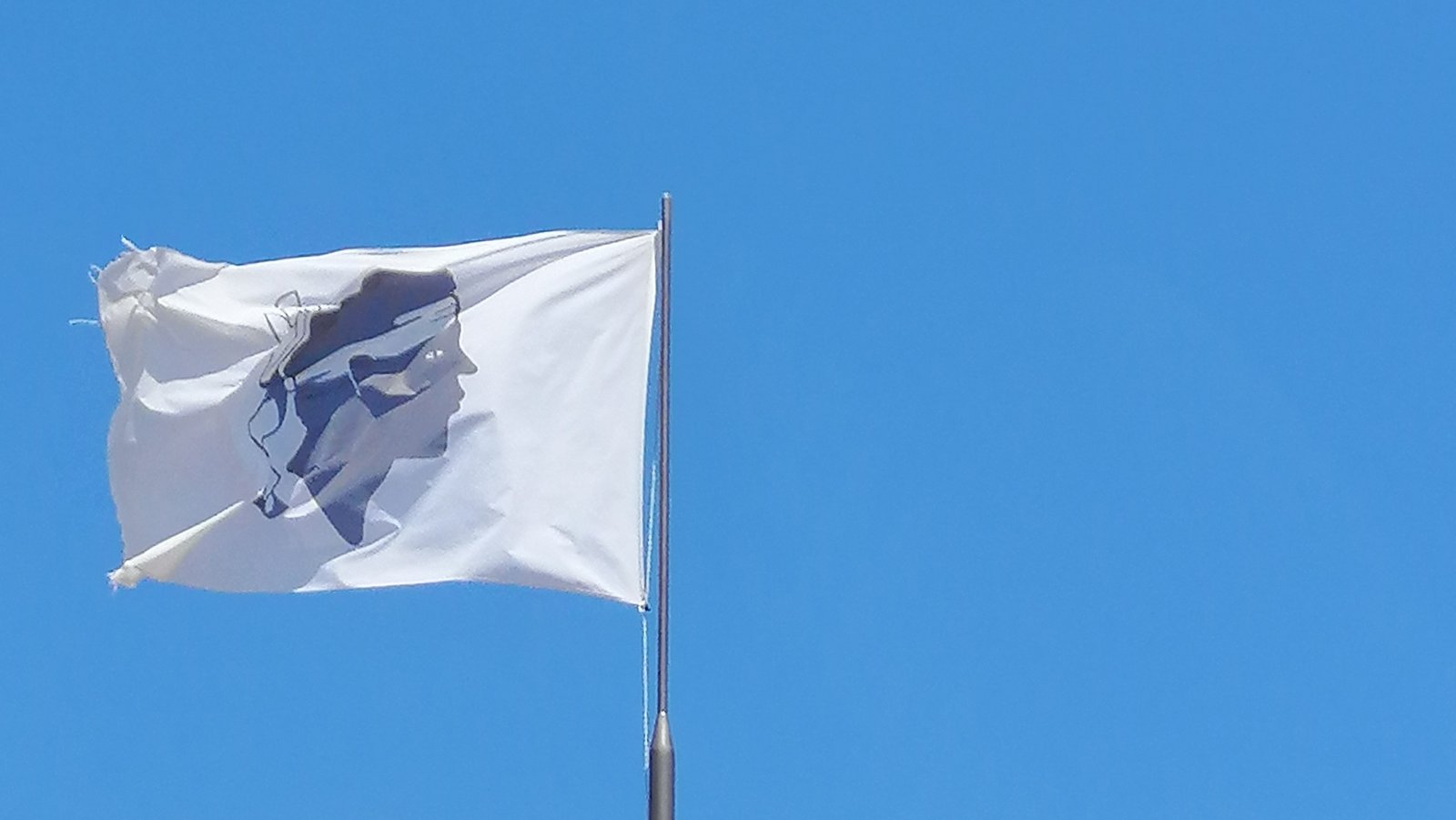bandiera corsica
