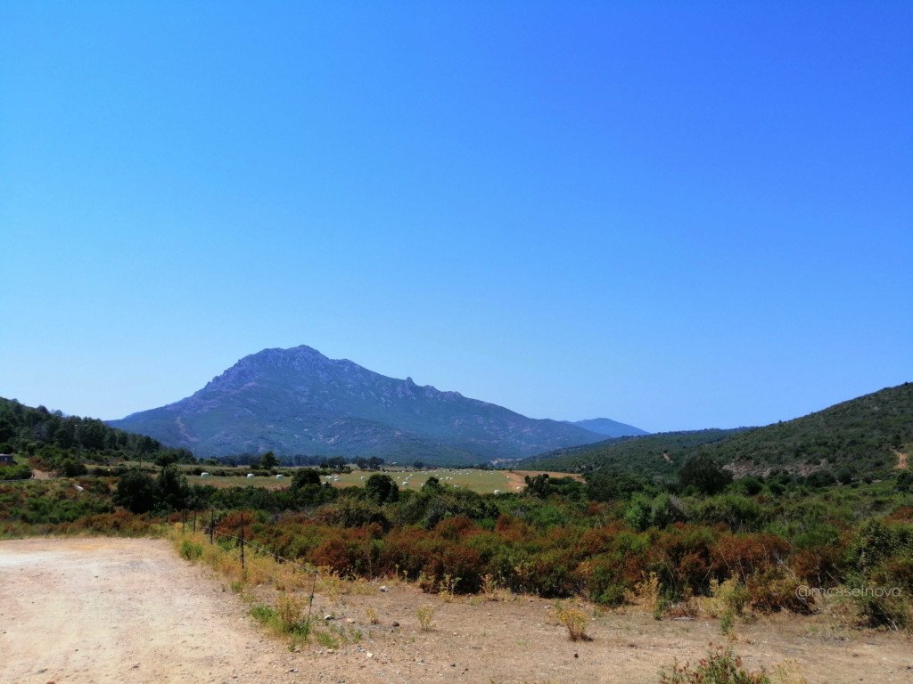 balagne