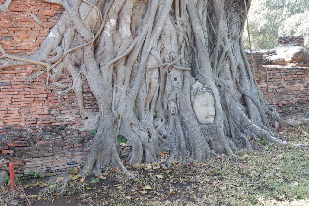 Testa di Buddha Ayutthaya, Thailandia