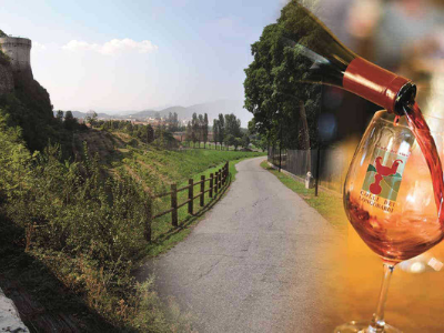 strade del vino in lombardia