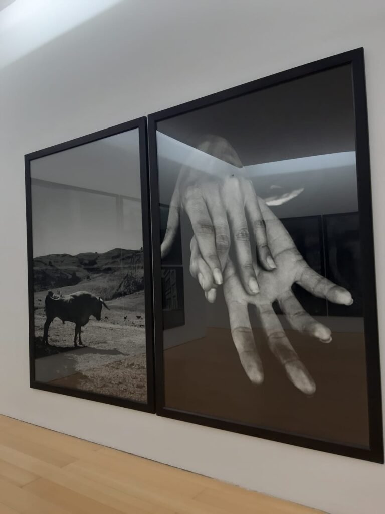 museo MADRE