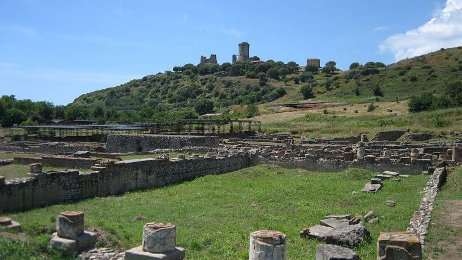 ascea