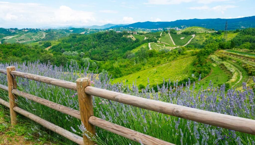 monferrato