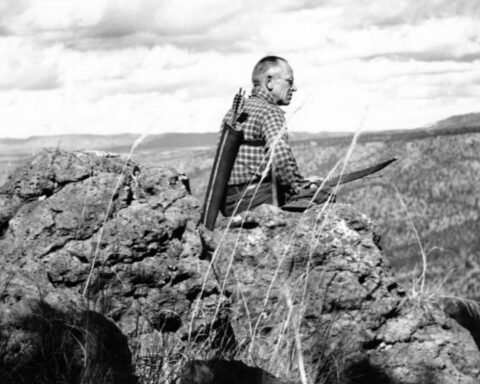 aldo leopold etica montagna