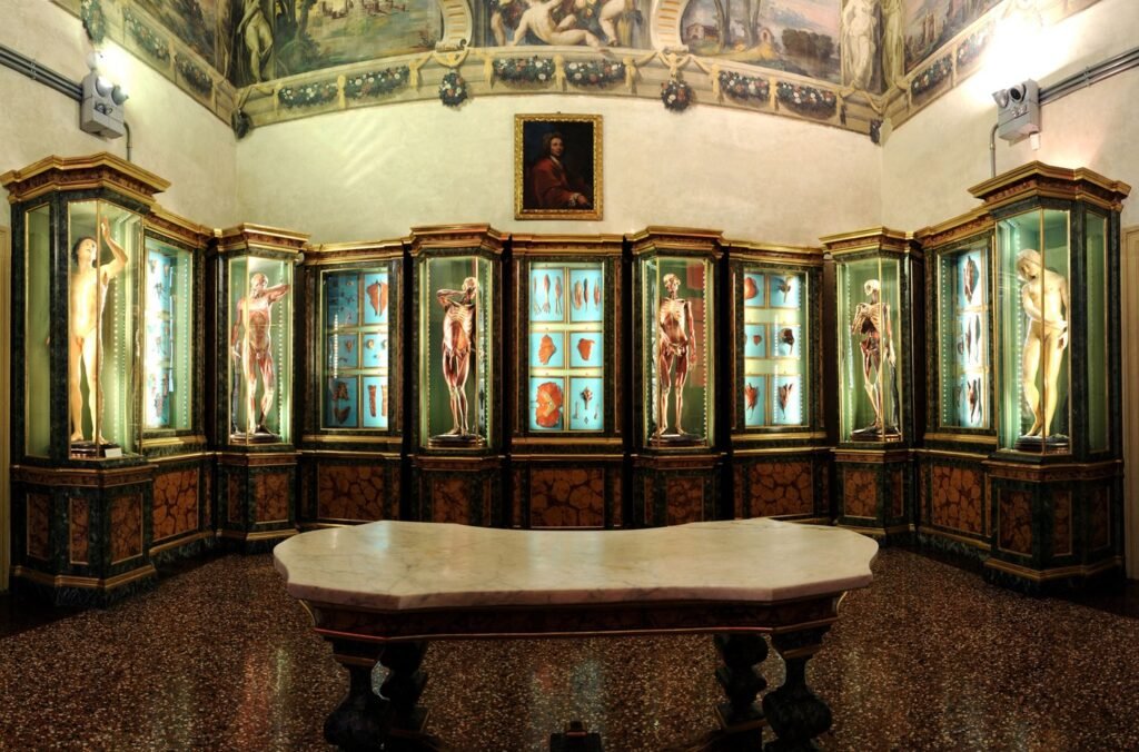 Palazzo-Poggi-sala-cere-anatomiche
