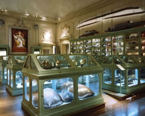 palazzo-poggi-bologna