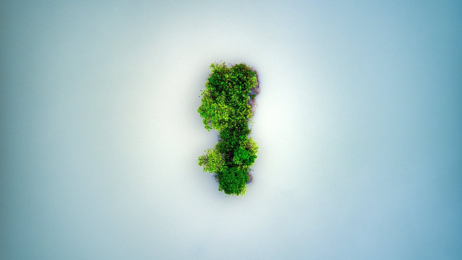 aerial view of a island