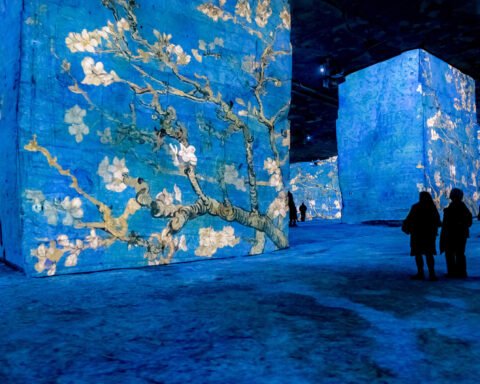 mostre immersive van gogh