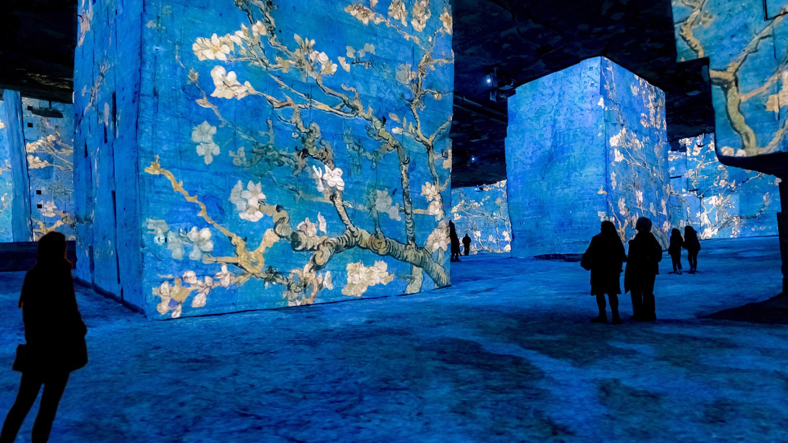 mostre immersive van gogh