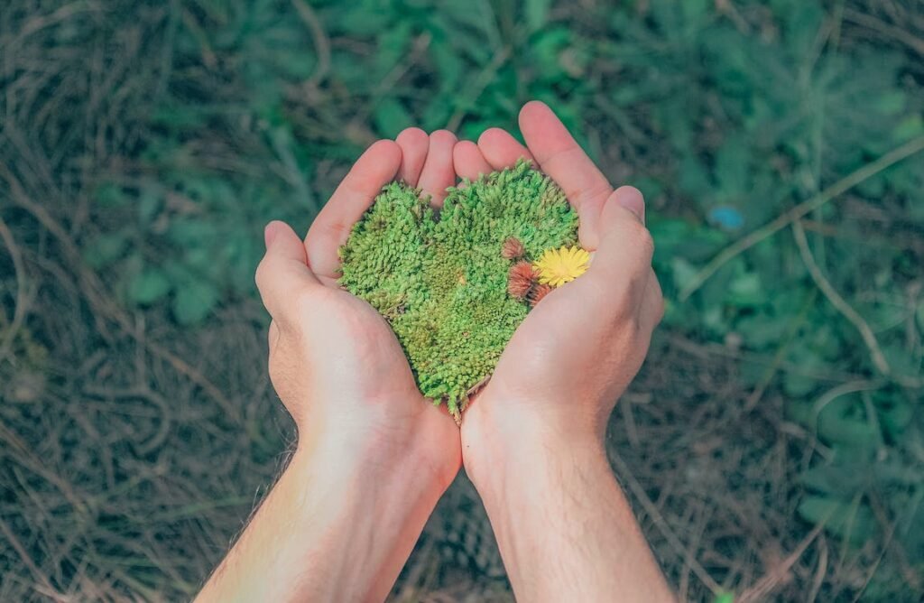 proposte partiti ambiente