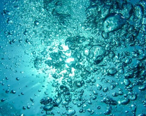 acqua
