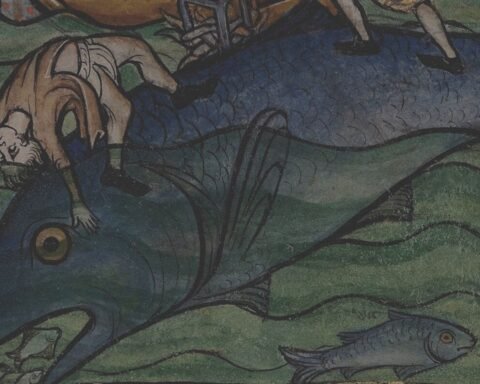creature acquatiche folkloristiche