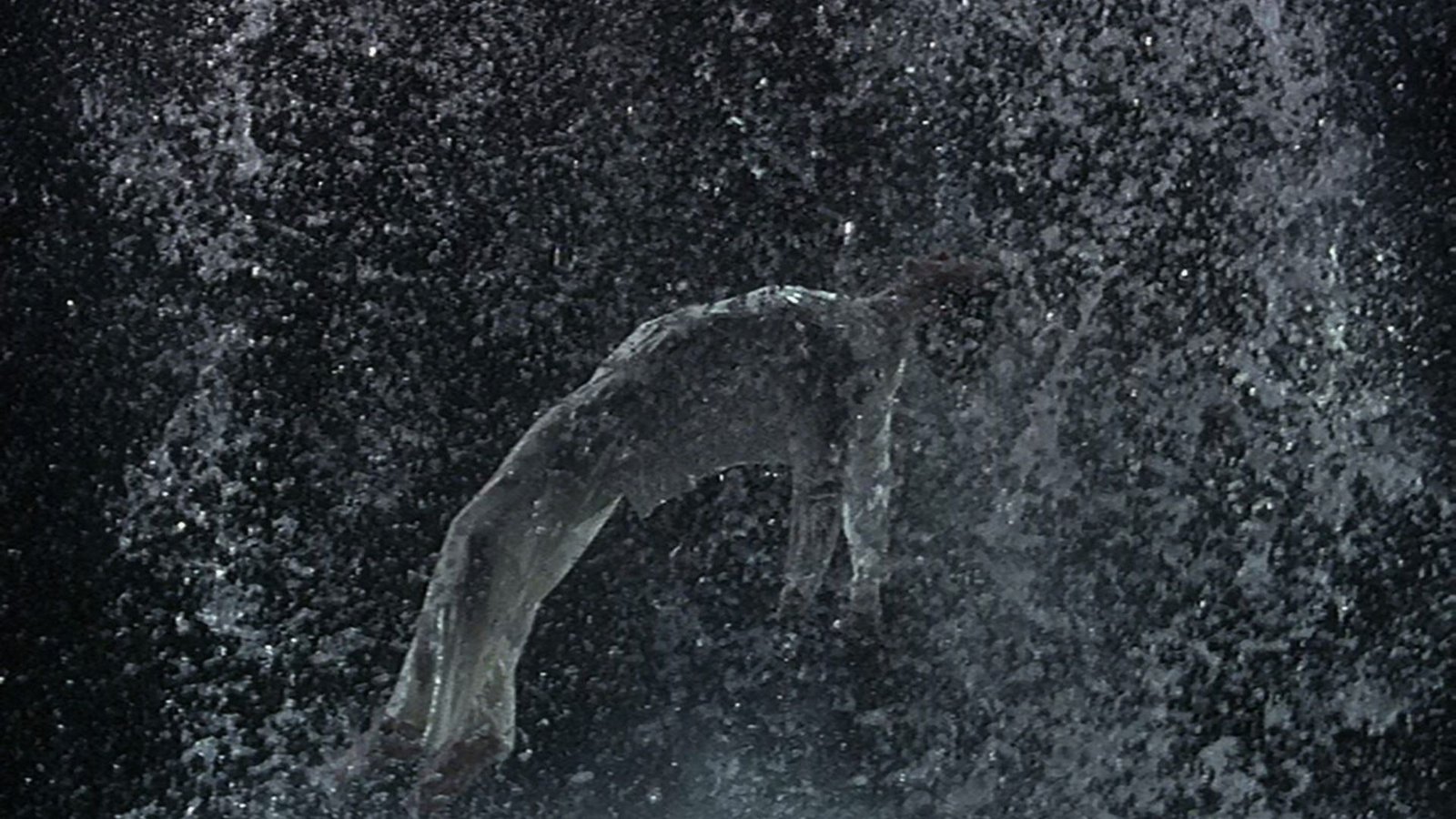 bill viola mostra palazzo reale