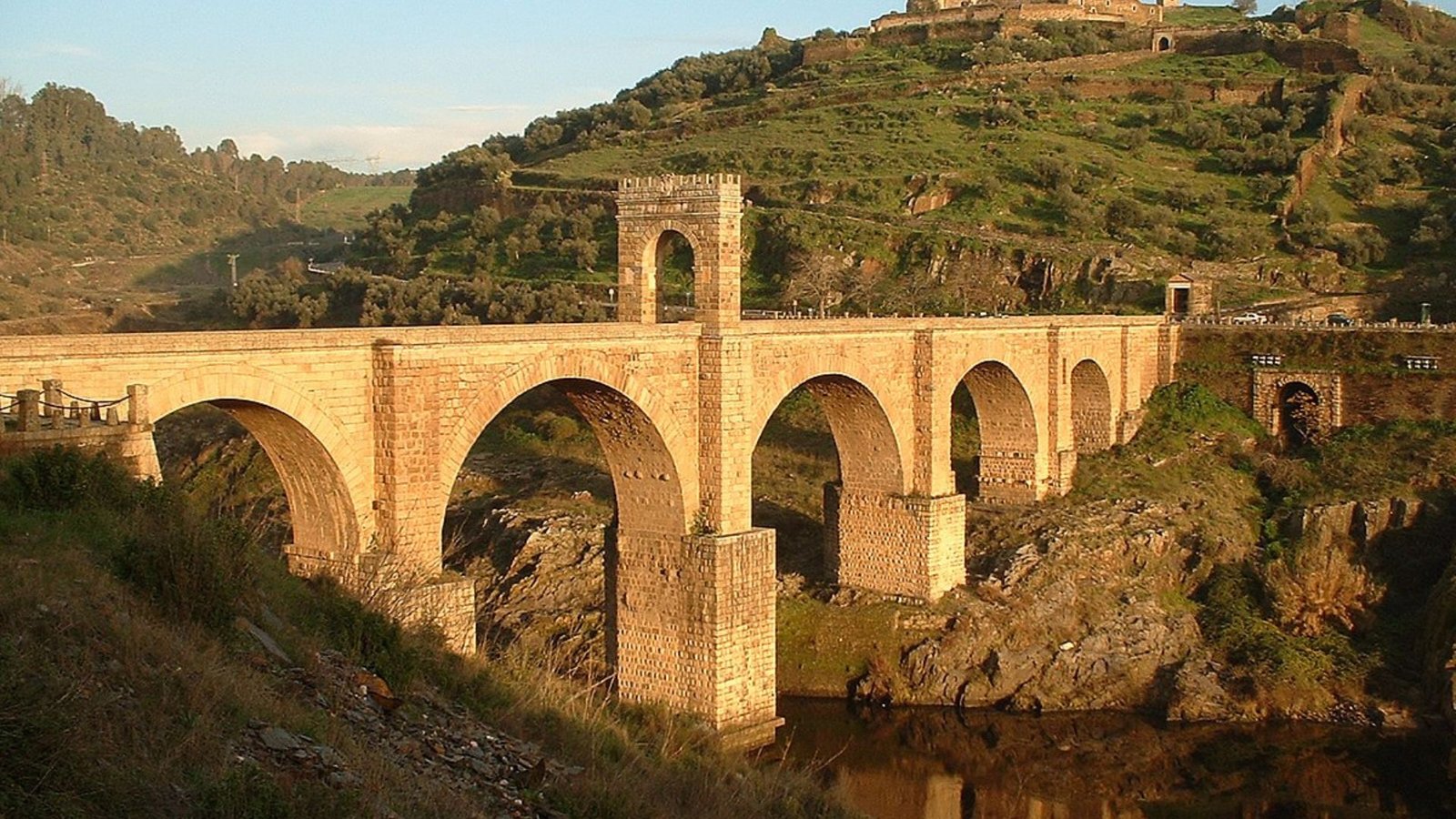 cavalieri alcantara