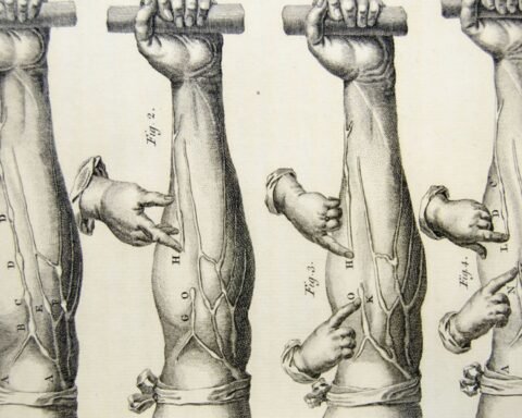 william harvey