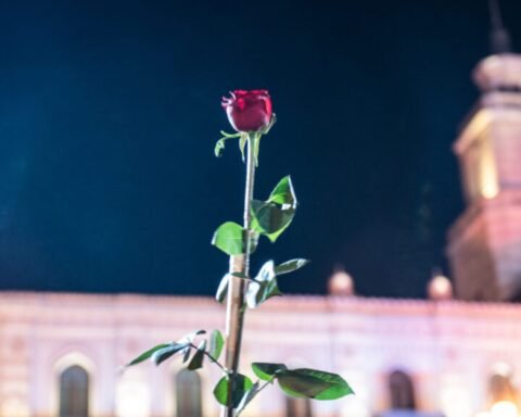 rivoluzione delle rose