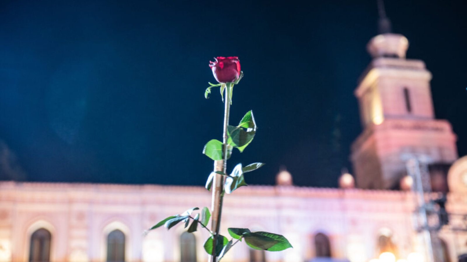 rivoluzione delle rose
