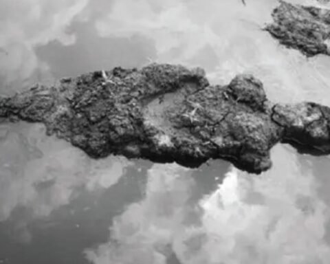 Ana Mendieta