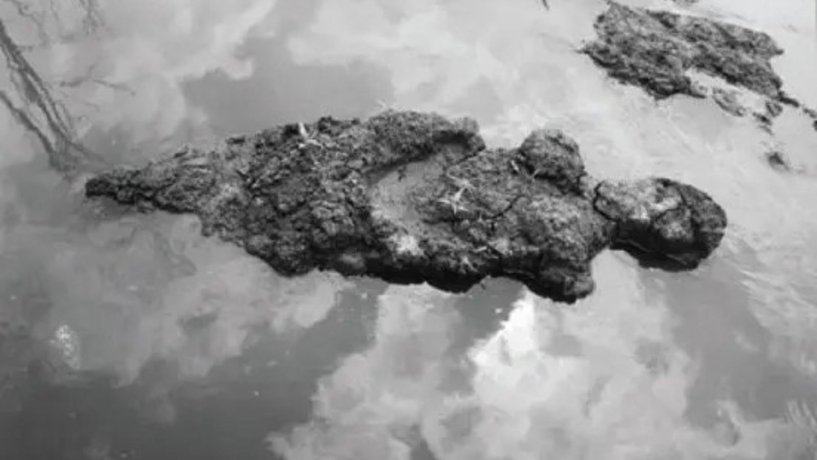 Ana Mendieta